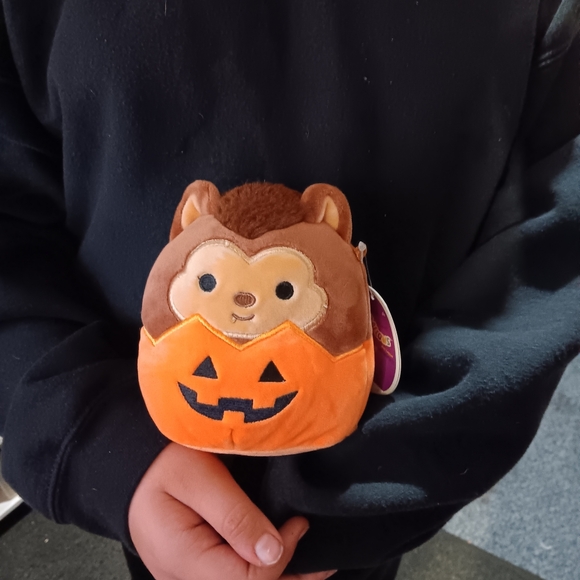 Wade Halloween squishmallow - Picture 7 of 7